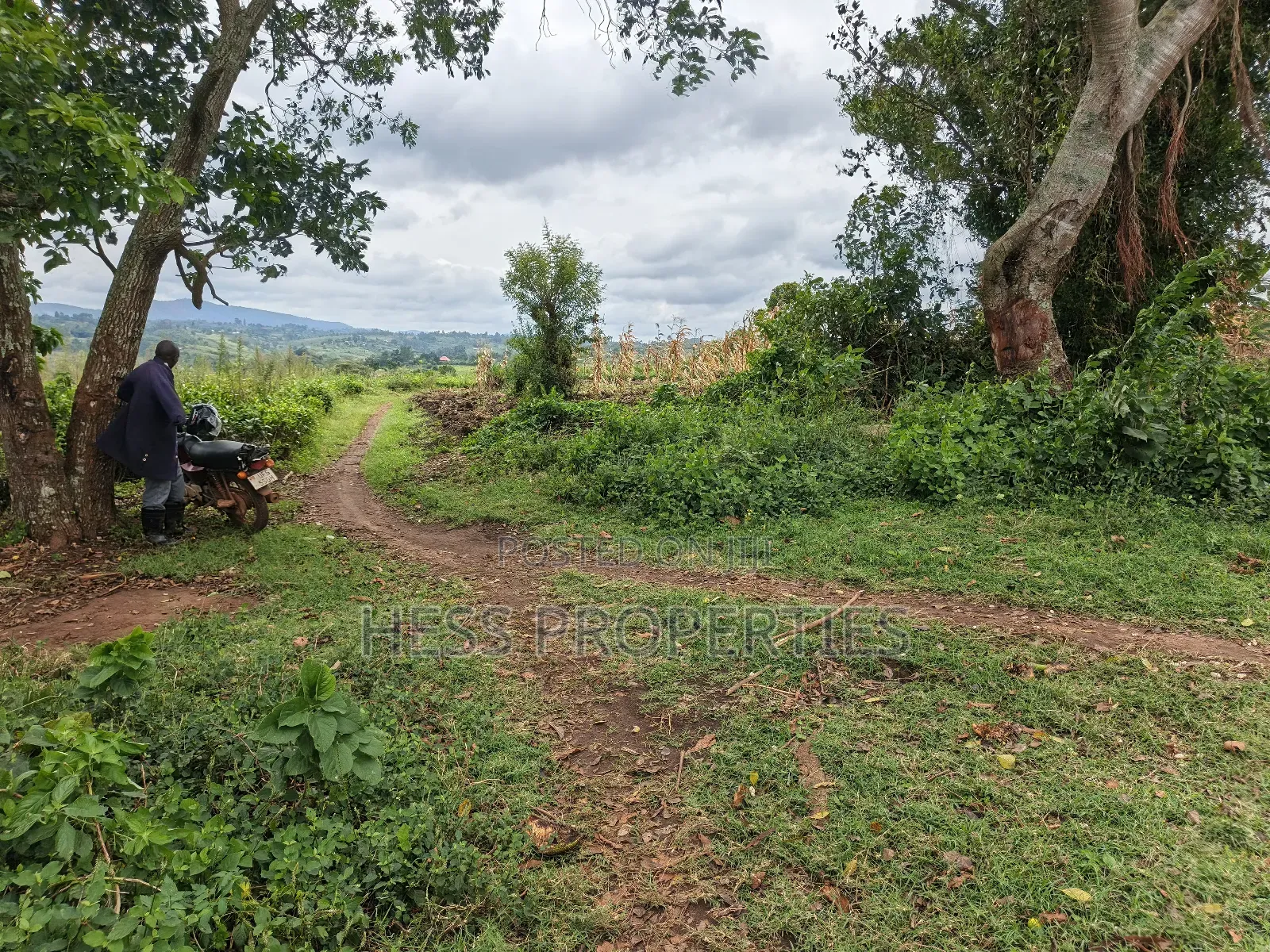 Agricultural Land on Sale Located in Kyarusozi-Kyenjojo District in Kyenjojo