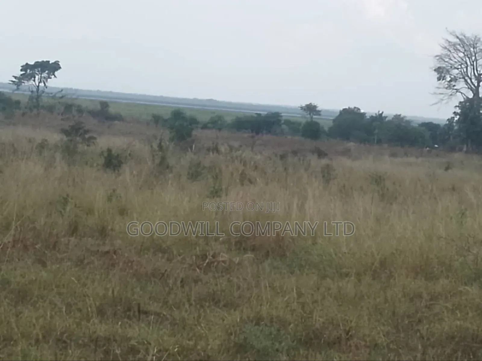 300 Acres of Land in Sezibwa Baale in Bbaale