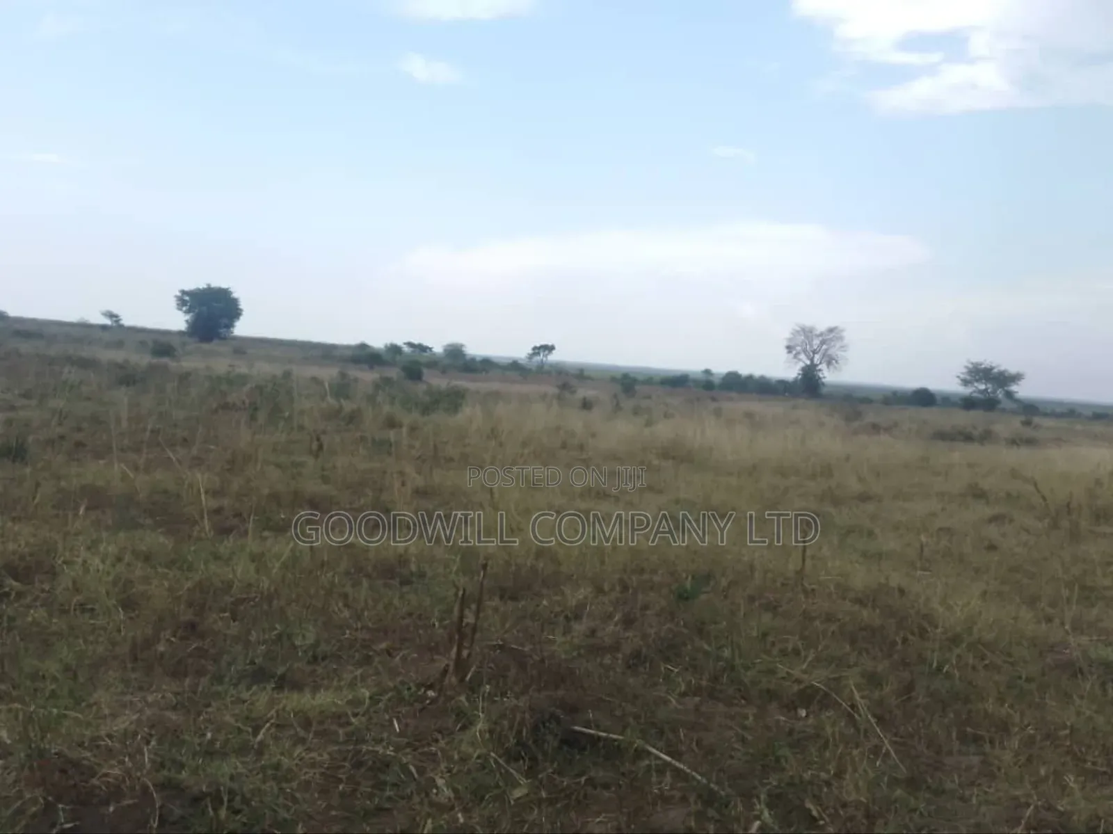 300 Acres of Land in Sezibwa Baale in Bbaale