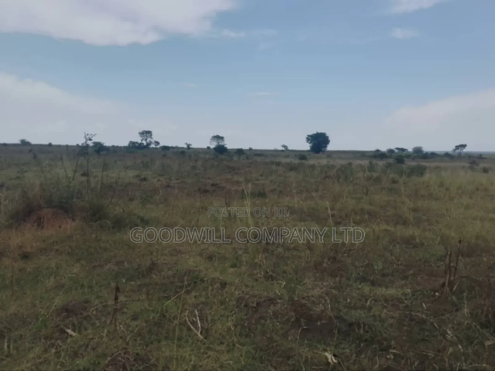 300 Acres of Land in Sezibwa Baale in Bbaale