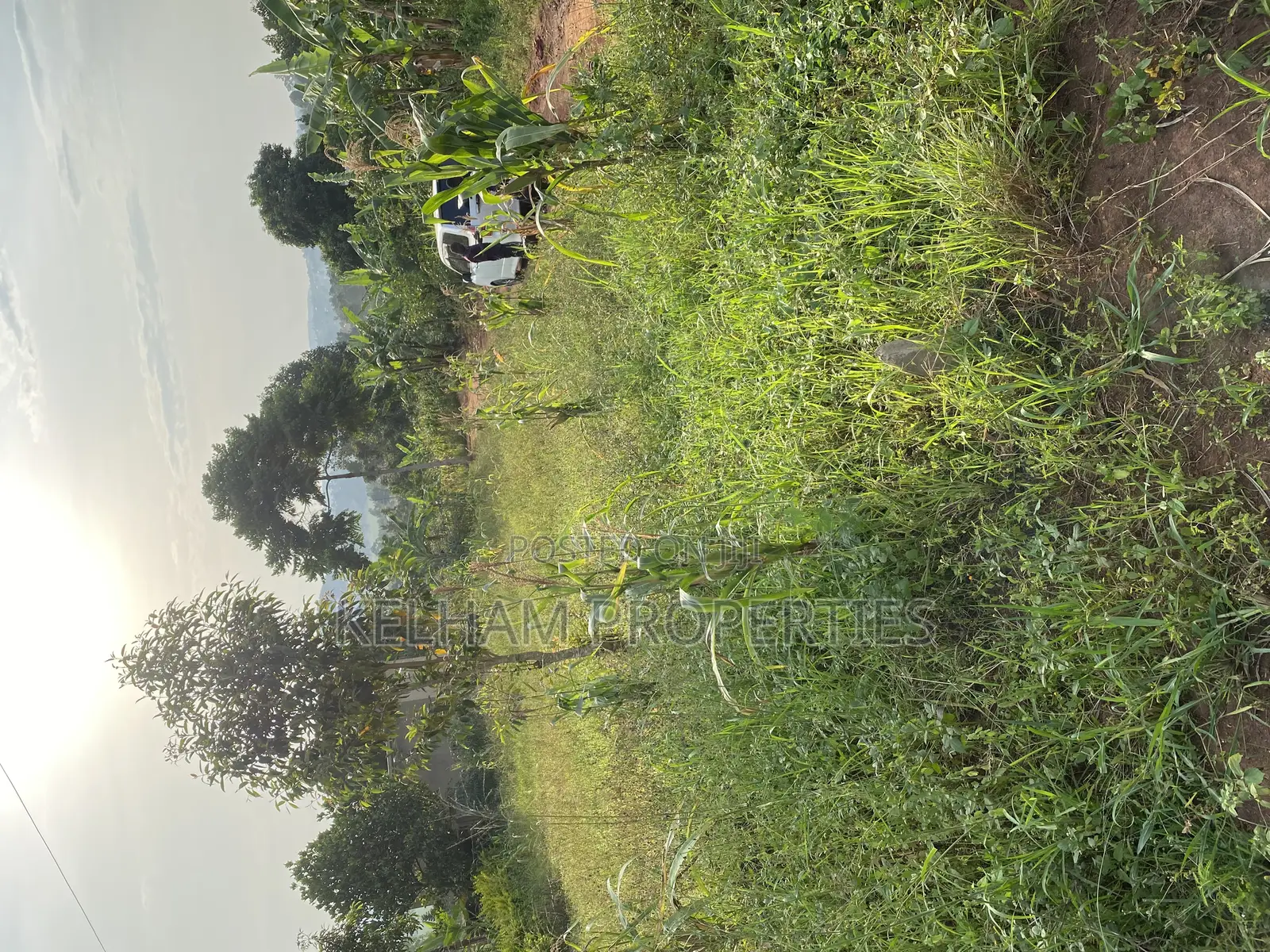 Land Title in Mpigi Mpambire Close to Main Road in Mpigi / Mpigi