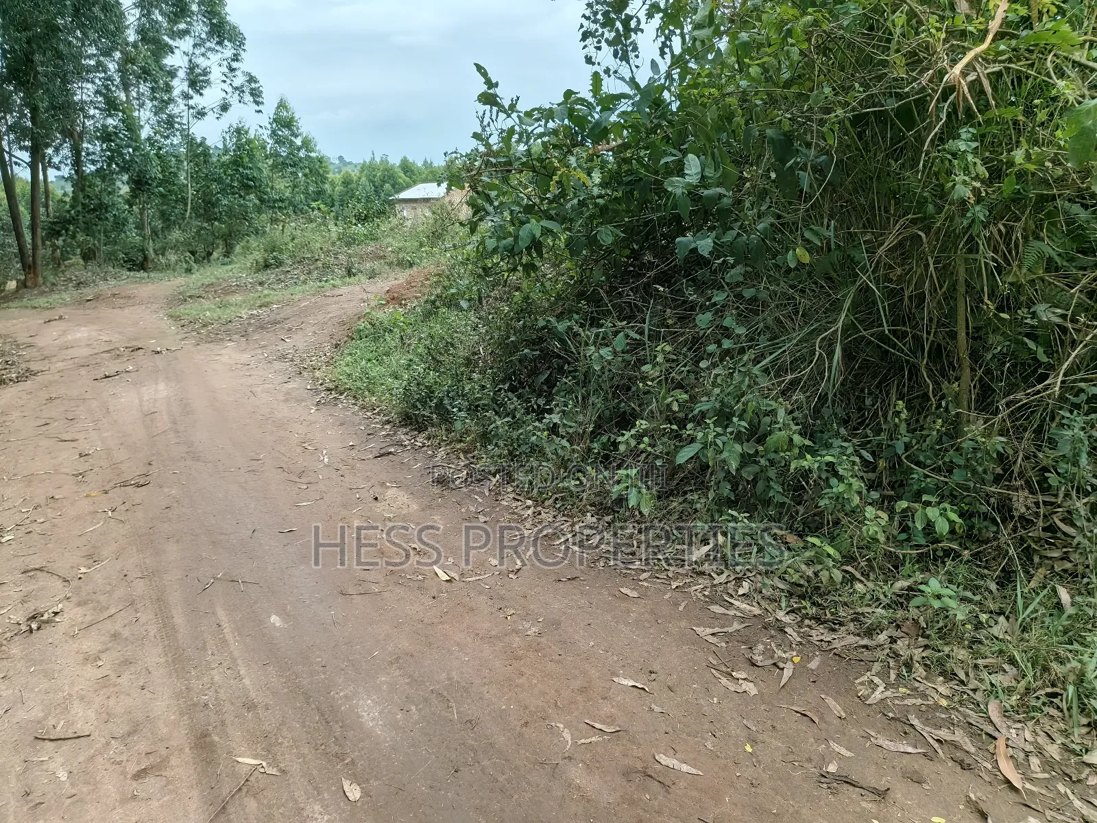10.5acres of Land on Sale Located in Kirinda-Kyarusozi in Kyenjojo