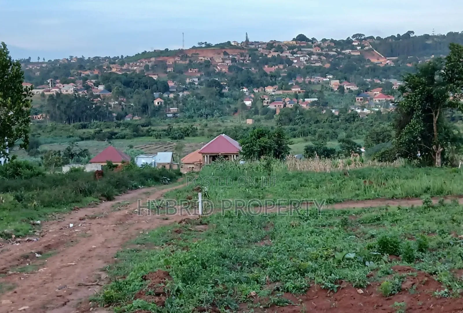 Prime Plots for Sale at Buddo~Sumba Town Land Estate Along Masaka Road in Nsangi