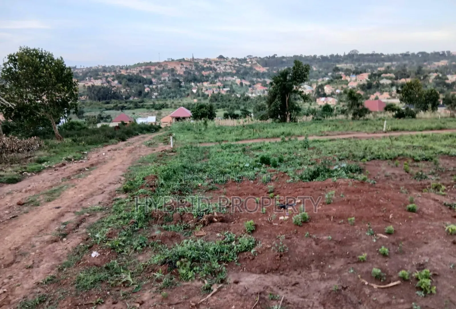 Prime Plots for Sale at Buddo~Sumba Town Land Estate Along Masaka Road in Nsangi