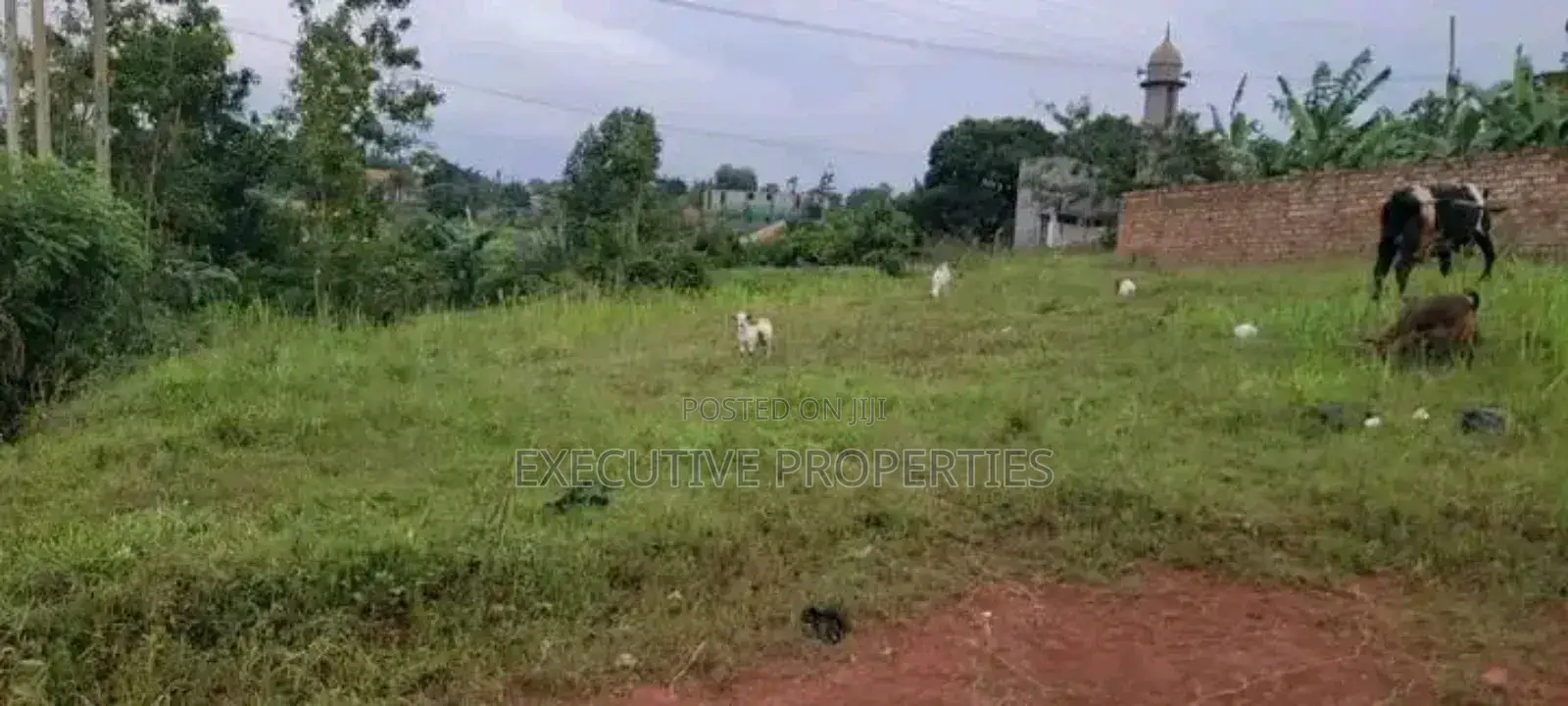 Naalya Plot for Sale on 35 Decimals in Central Division