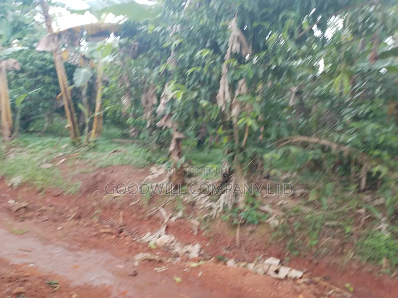 4 Acres of Land at Nakifuma Kalagi Town Few Meters From Tarmac in Central Division