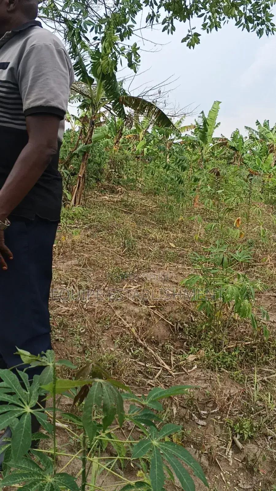 Plot Available Namalri Mukono Kayunga Road in Kasawo