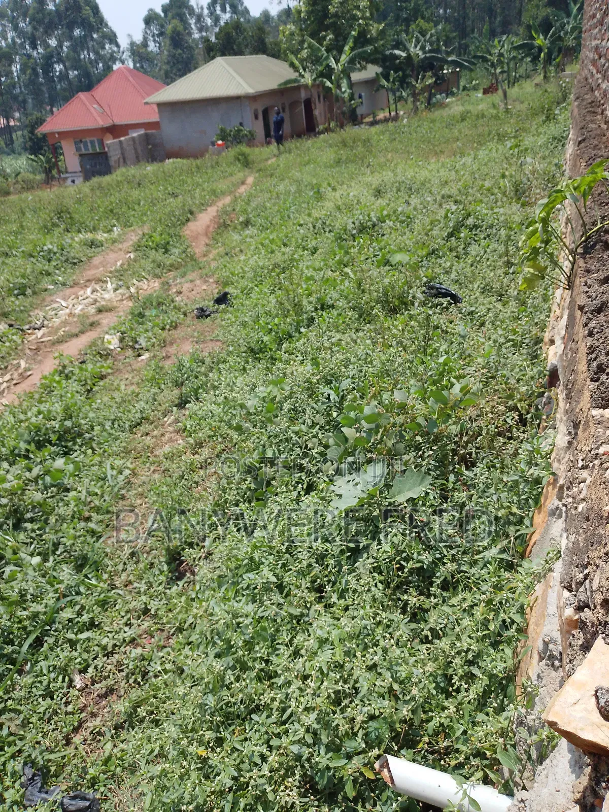 Plot Sale at 90m Ugx 100by100fts in Manyangwa in Kira