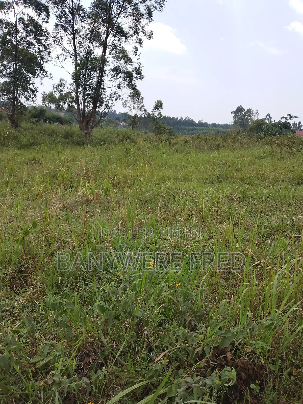 1.5 Acer of Land for Sale at 130m Ugx in Kiwumu Mukono in Kyampisi