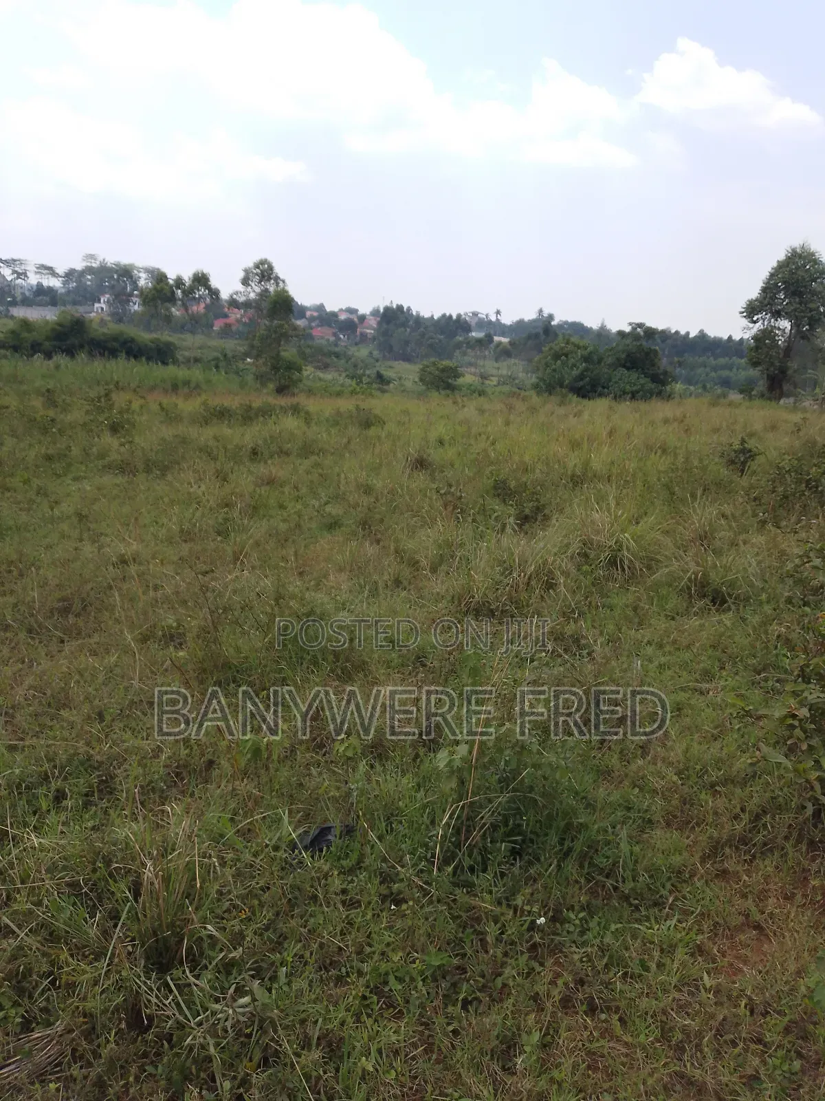 1.5 Acer of Land for Sale at 130m Ugx in Kiwumu Mukono in Kyampisi
