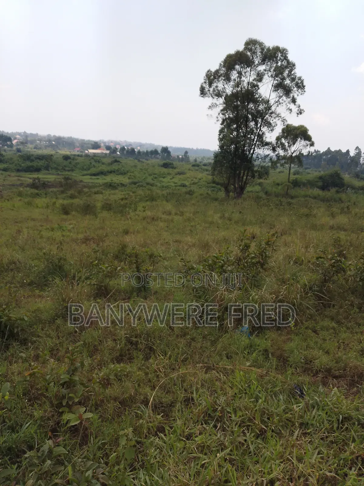 1.5 Acer of Land for Sale at 130m Ugx in Kiwumu Mukono in Kyampisi