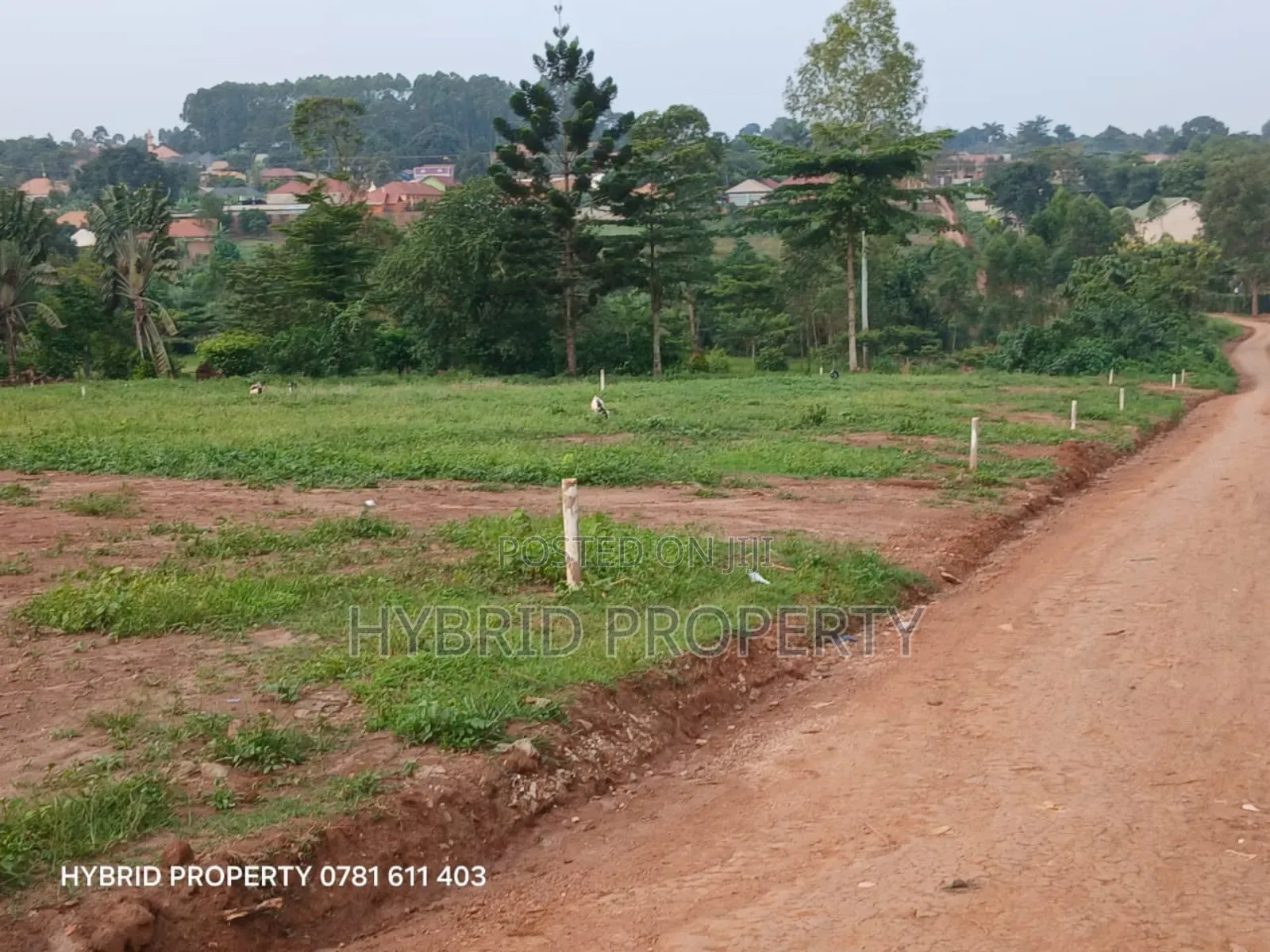 Prime Plots For Sale At Wakiso~Namusera Tarmac View Estate~Hoima Road. in Wakiso / Wakiso