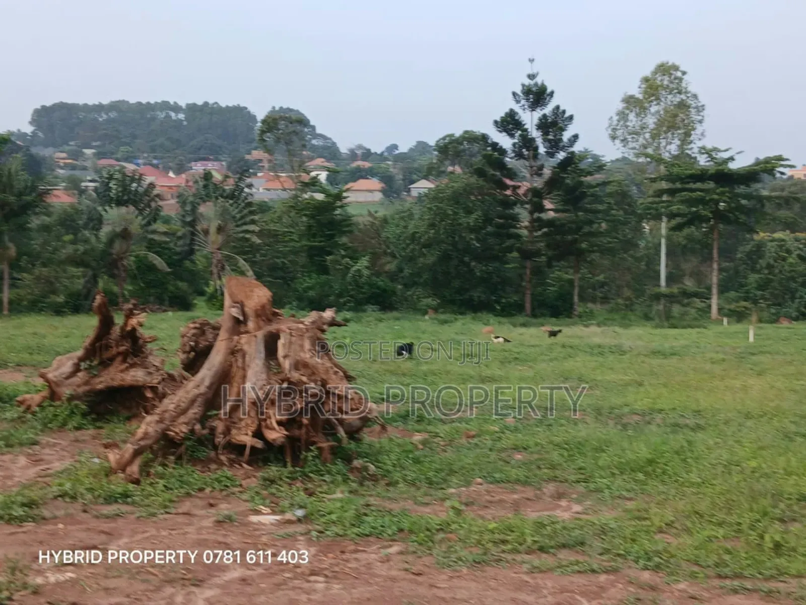 Prime Plots For Sale At Wakiso~Namusera Tarmac View Estate~Hoima Road. in Wakiso / Wakiso