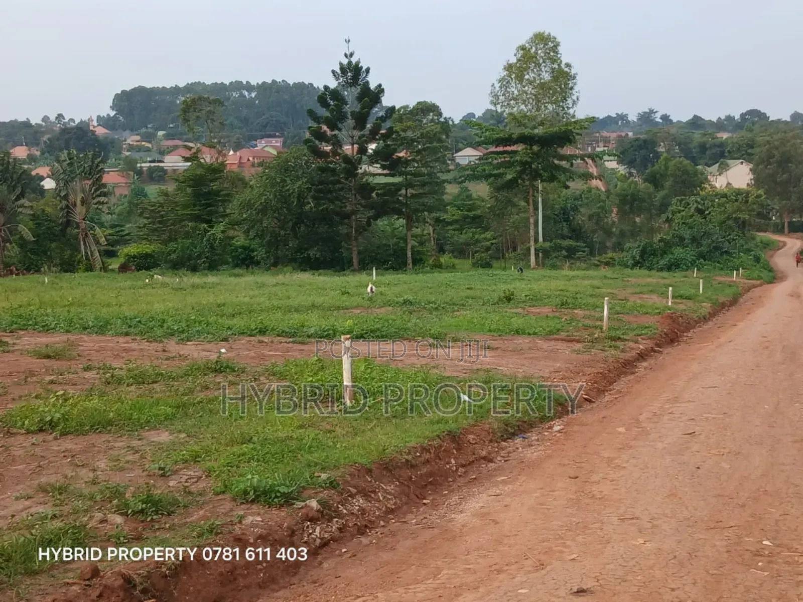 Prime Plots For Sale At Wakiso~Namusera Tarmac View Estate~Hoima Road. in Wakiso / Wakiso
