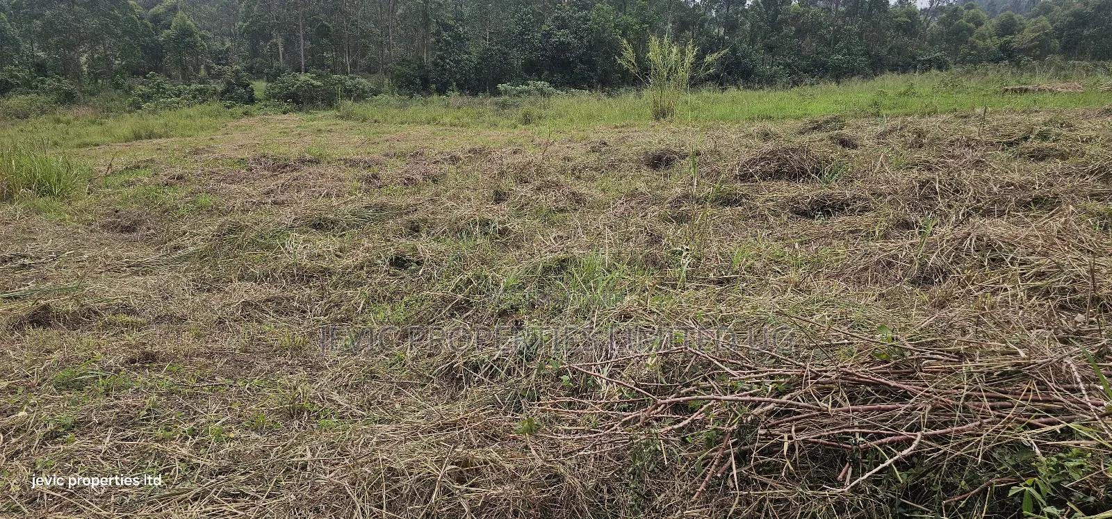Plots for Sale at Namayumba Near Town in Kakiri