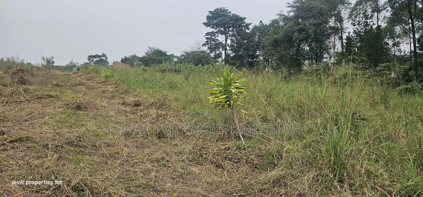 Plots for Sale at Namayumba Near Town in Kakiri