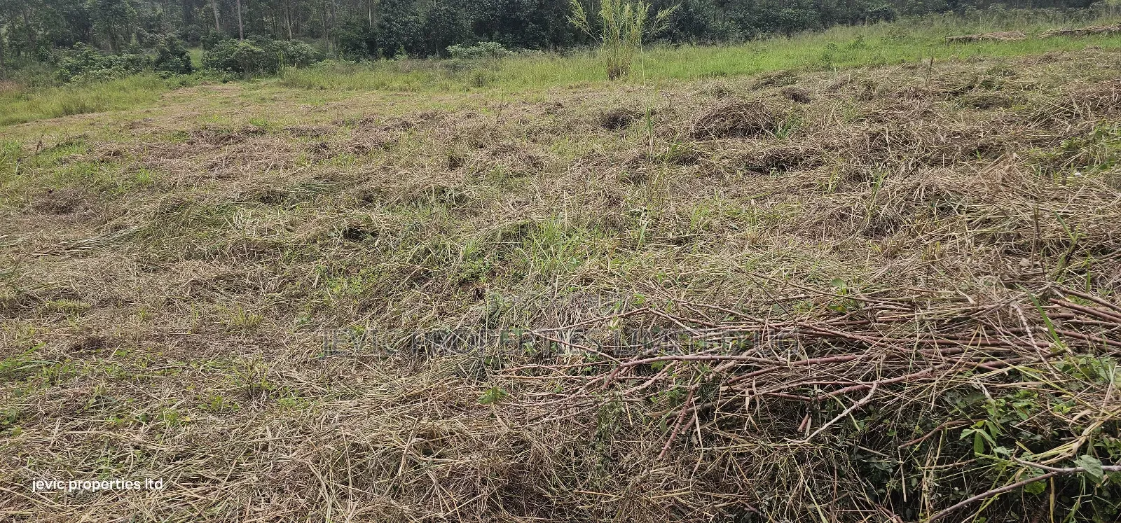 Plots for Sale at Namayumba Near Town in Kakiri