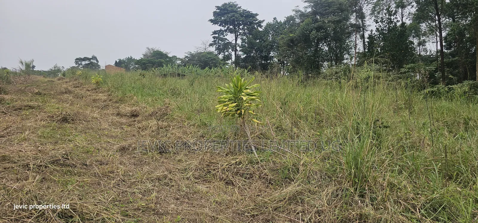 Farm Land for Sale at Namayumba Along Hoima Road in Kakiri