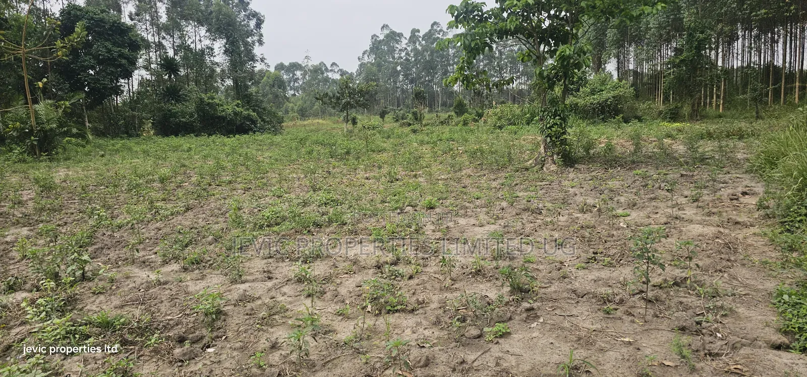 Farm Land for Sale at Namayumba Along Hoima Road in Kakiri