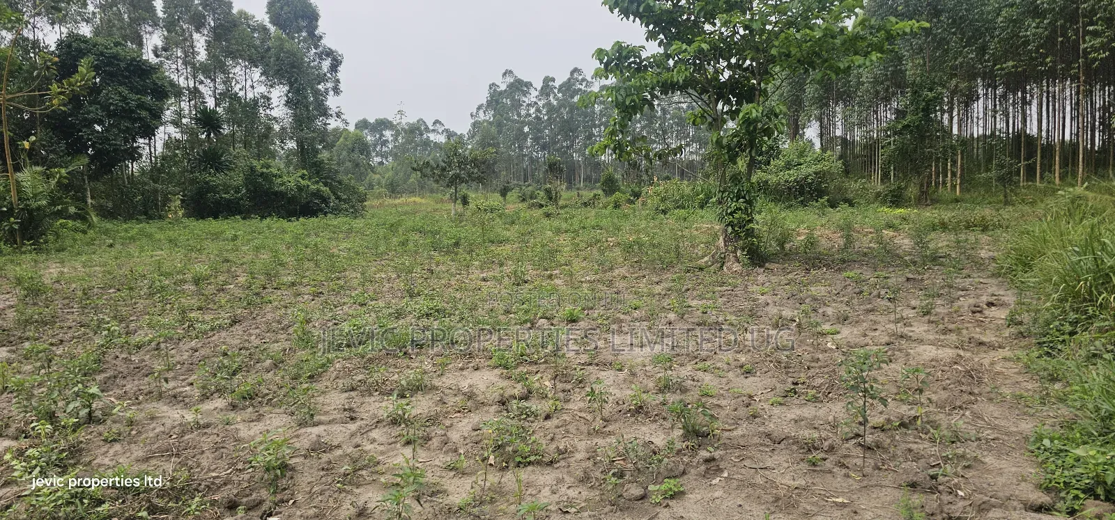 Farm Land for Sale at Namayumba Along Hoima Road in Kakiri
