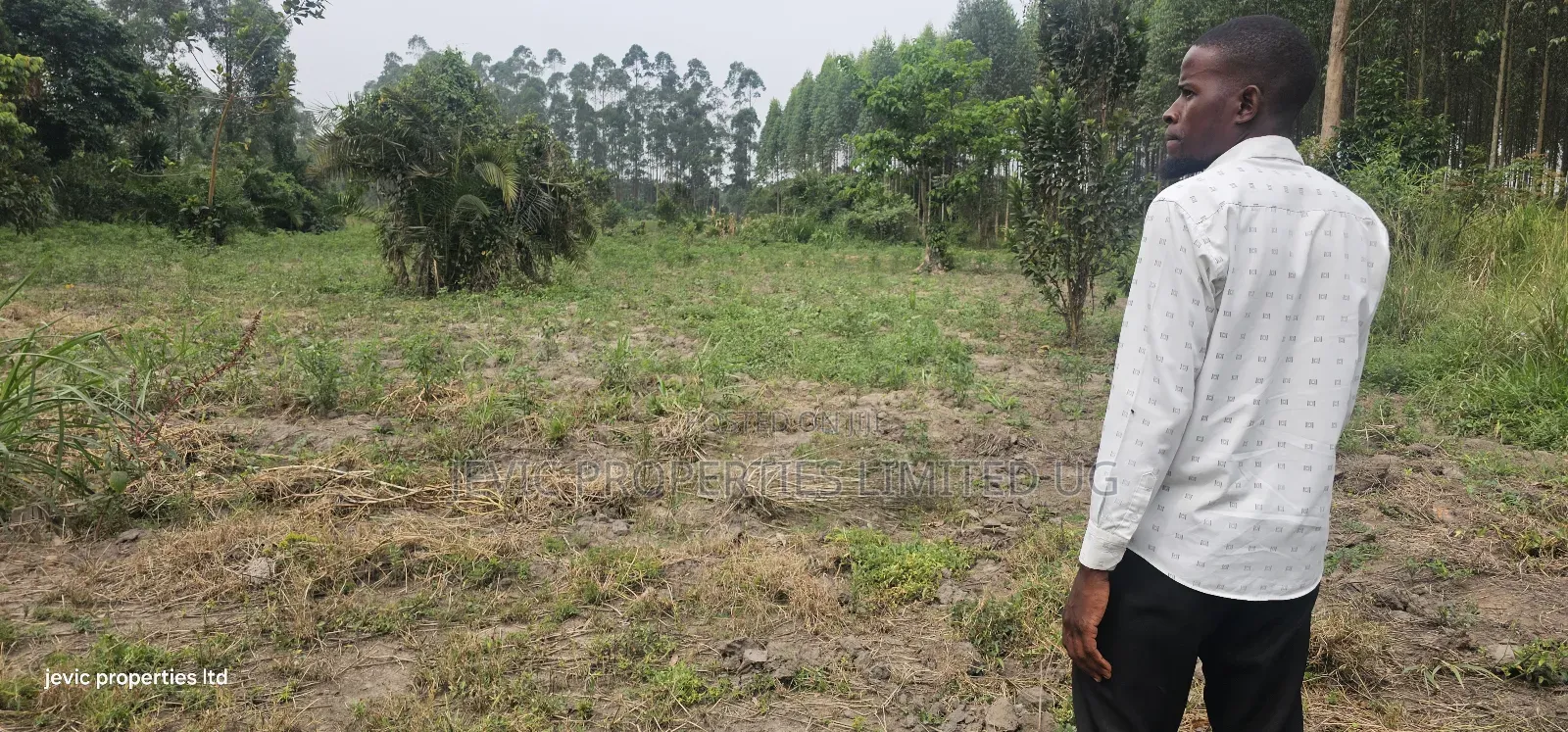 Farm Land for Sale at Namayumba Along Hoima Road in Kakiri