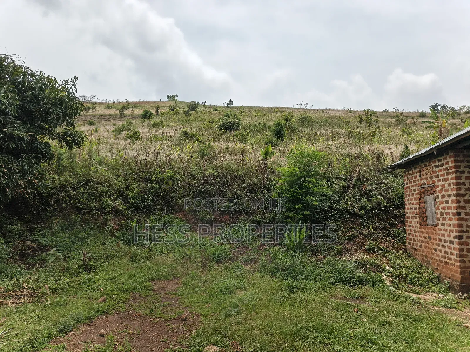 12acres of Agricultural Land on Sale in Matiri in Kyenjojo