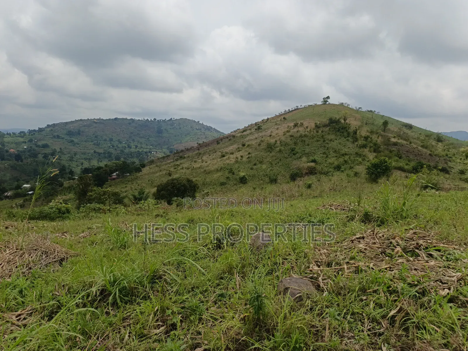 12acres of Agricultural Land on Sale in Matiri in Kyenjojo