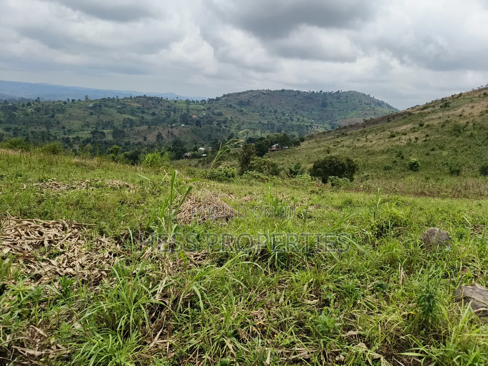 12acres of Agricultural Land on Sale in Matiri in Kyenjojo