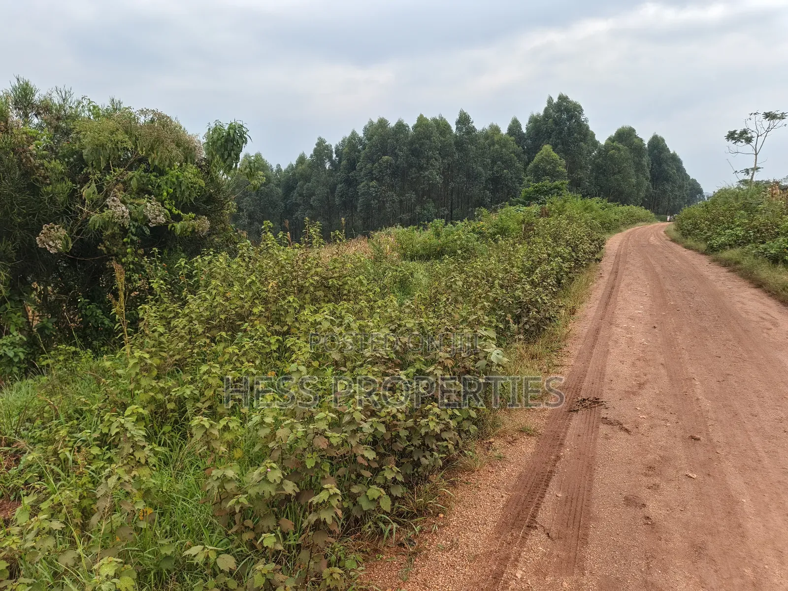 5acres of Agricultural Land on Sale in Nyatungo in Kyenjojo