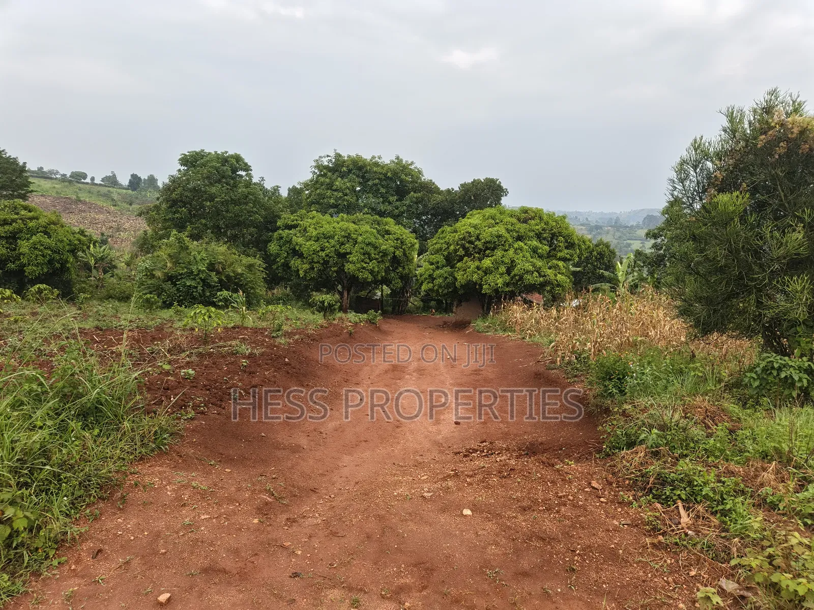5acres of Agricultural Land on Sale in Nyatungo in Kyenjojo