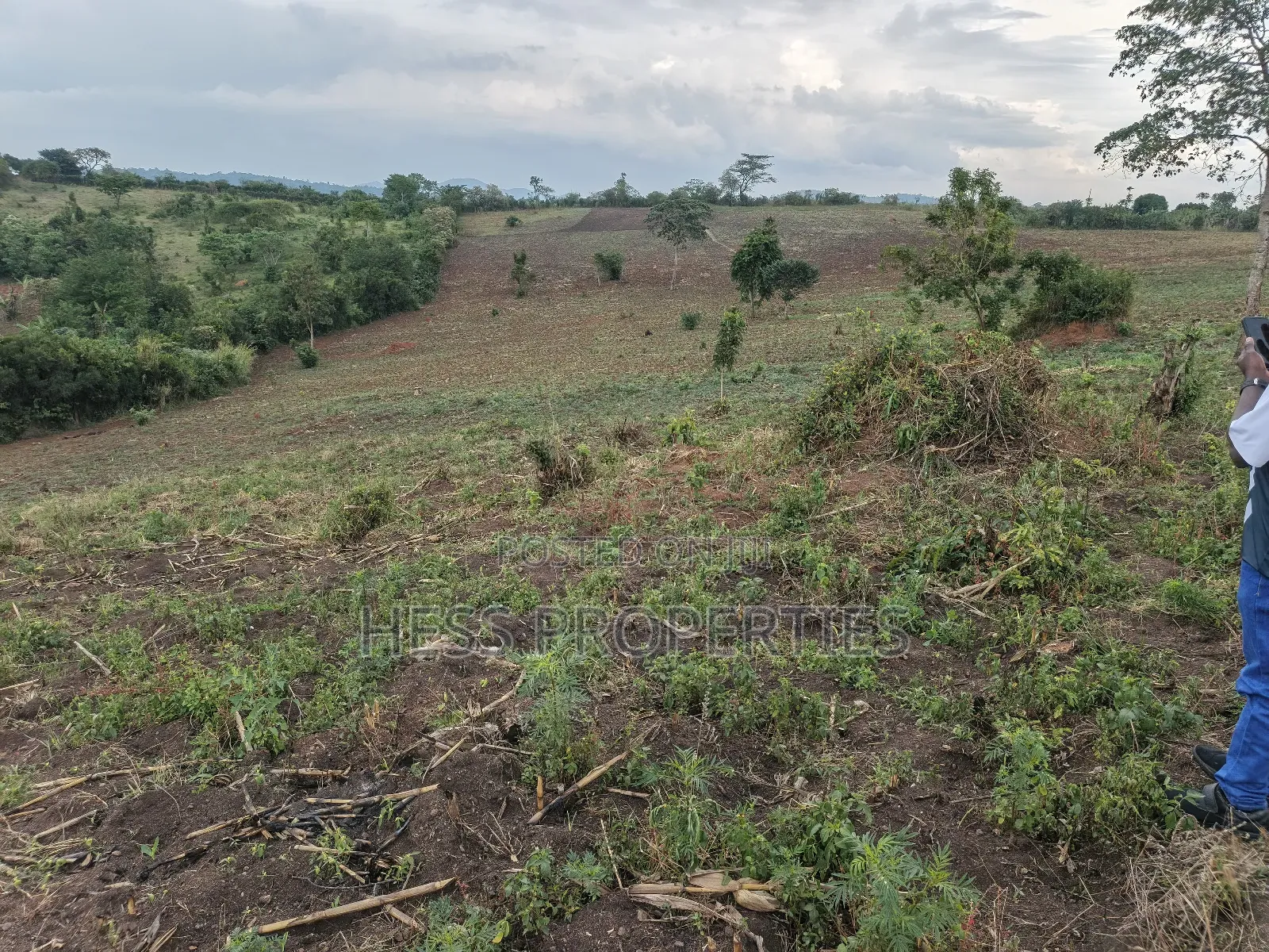 15acres of Titled Land on Sale Located in Butunduzi in Kyenjojo