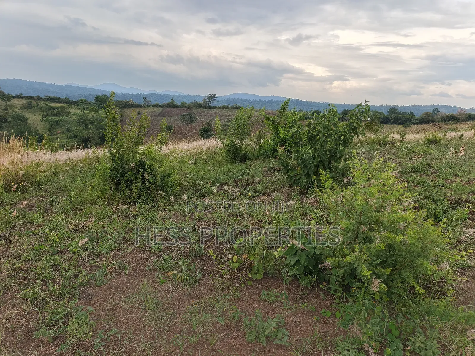 15acres of Titled Land on Sale Located in Butunduzi in Kyenjojo