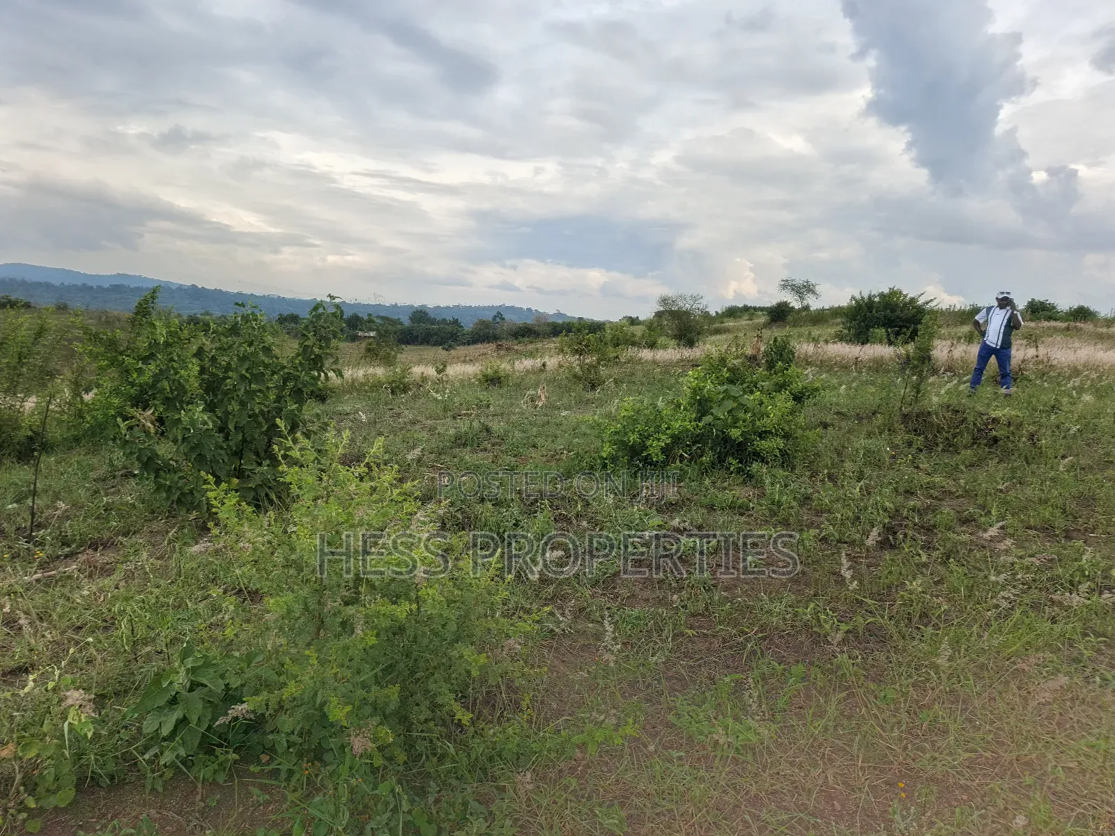 15acres of Titled Land on Sale Located in Butunduzi in Kyenjojo