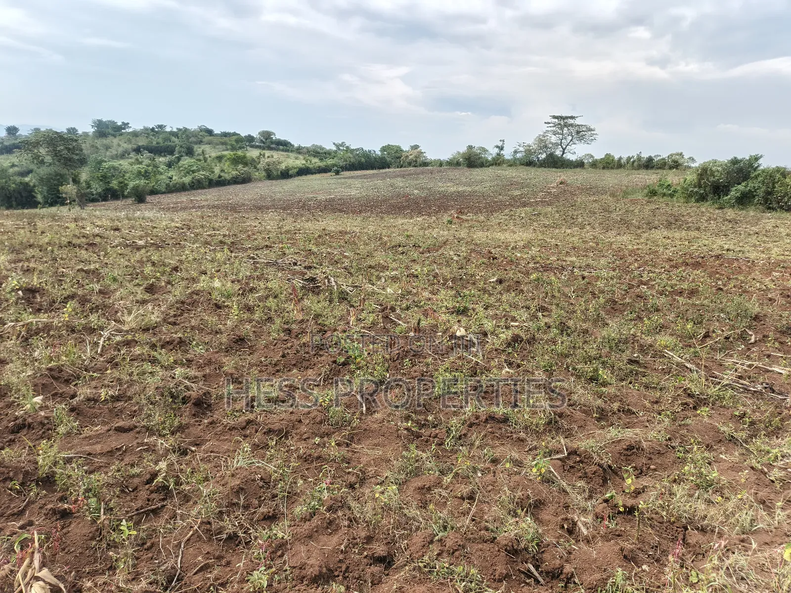 15acres of Titled Land on Sale Located in Butunduzi in Kyenjojo