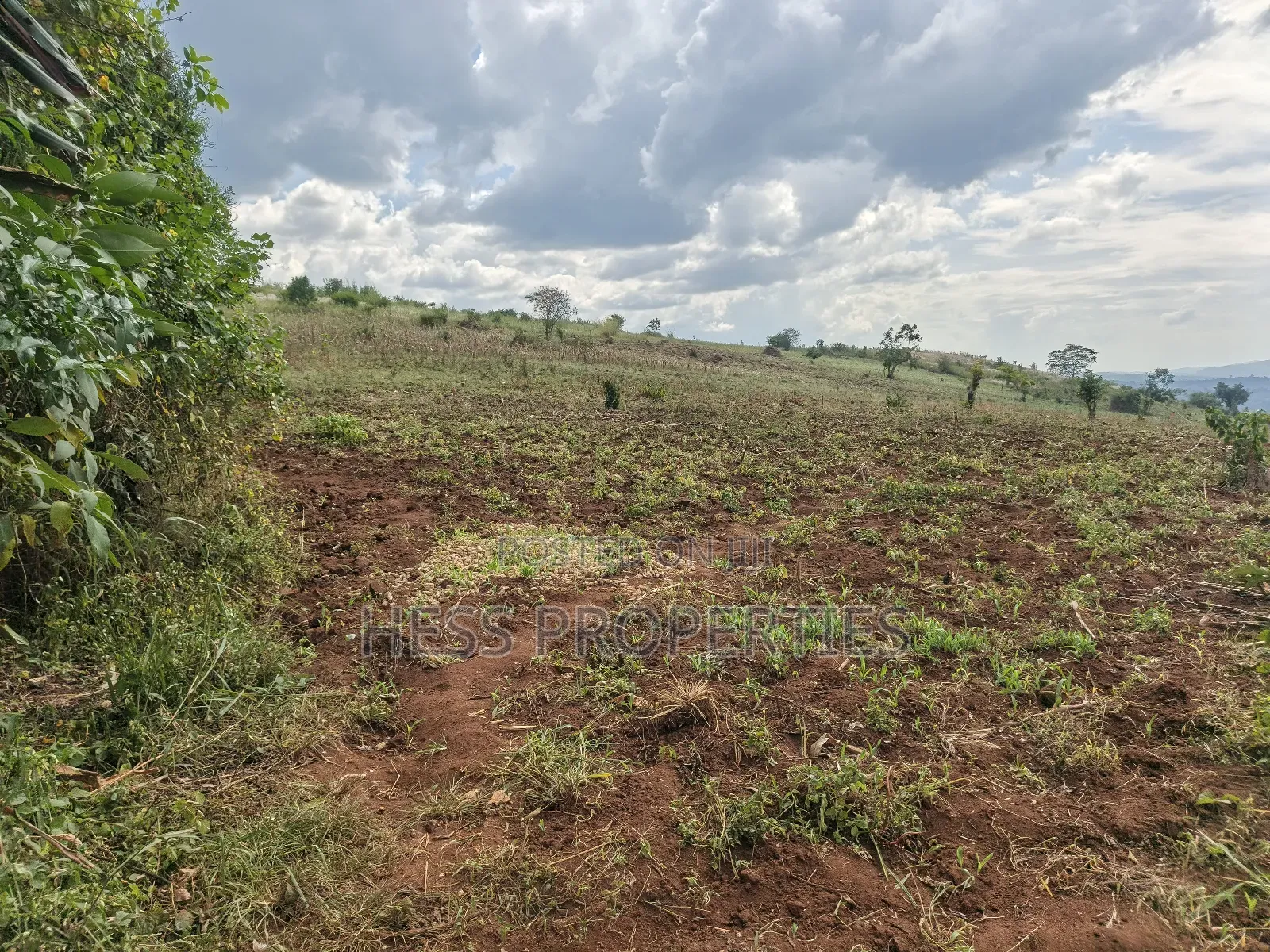 15acres of Titled Land on Sale Located in Butunduzi in Kyenjojo