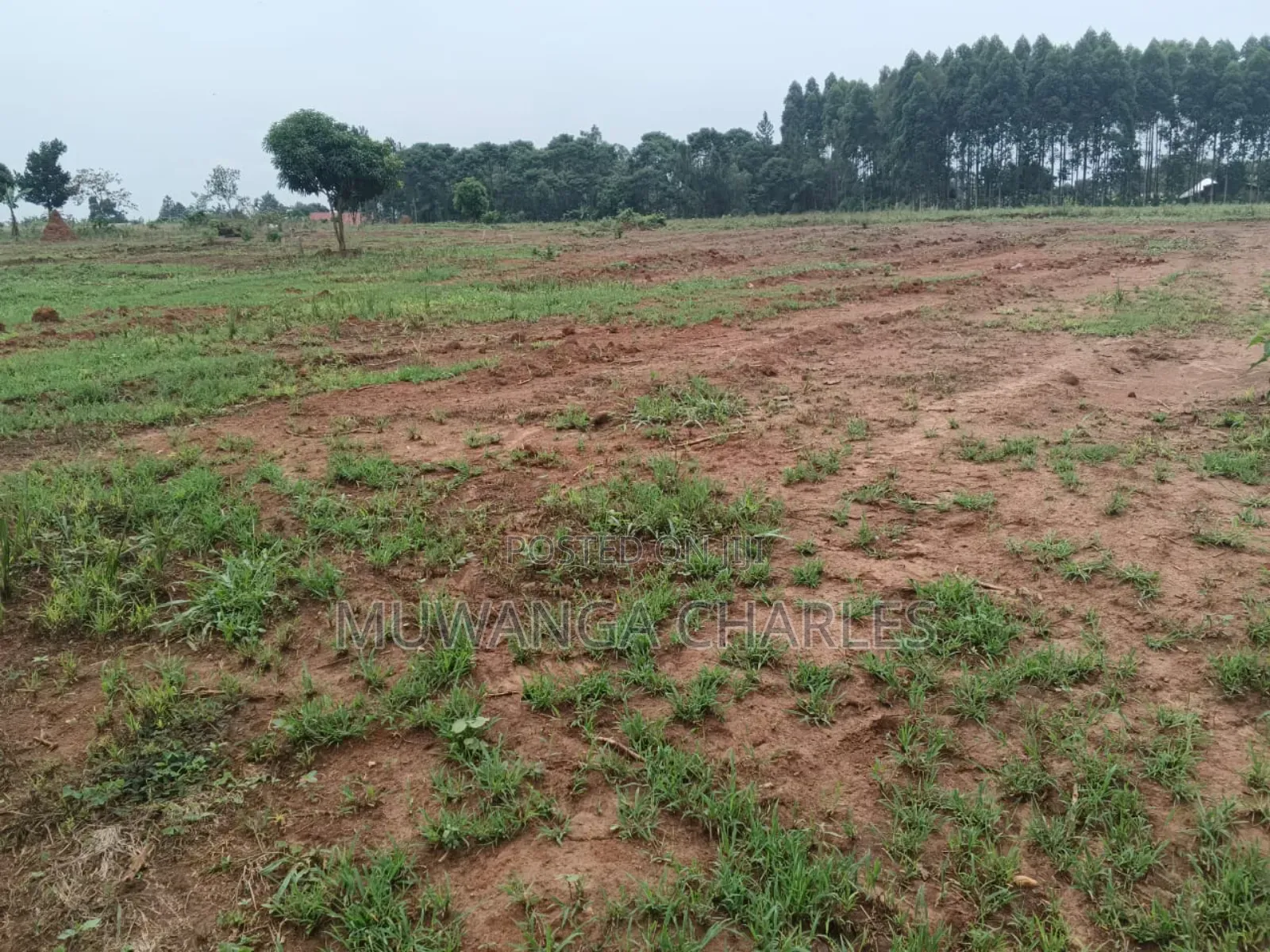 Plots on Sale in Gayaza Busika Phase 2 in Luwero / Luwero