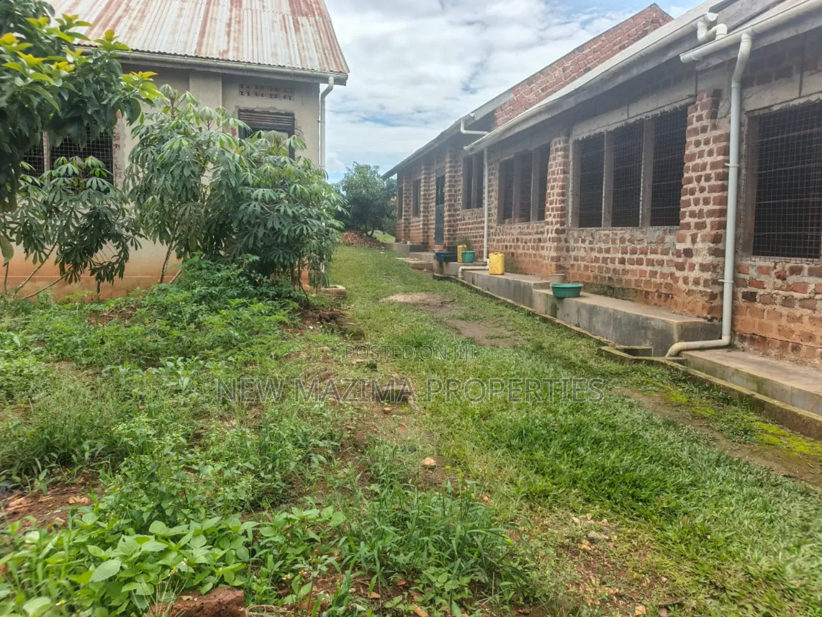 Poultry Farm With Three Structures on Quicksale in Mukono Namayuba in Central Division