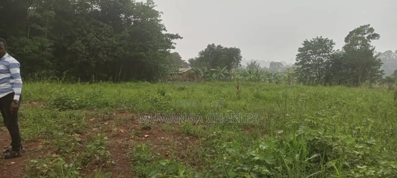 Plot on Sale in Kira Phase 3 in Kira