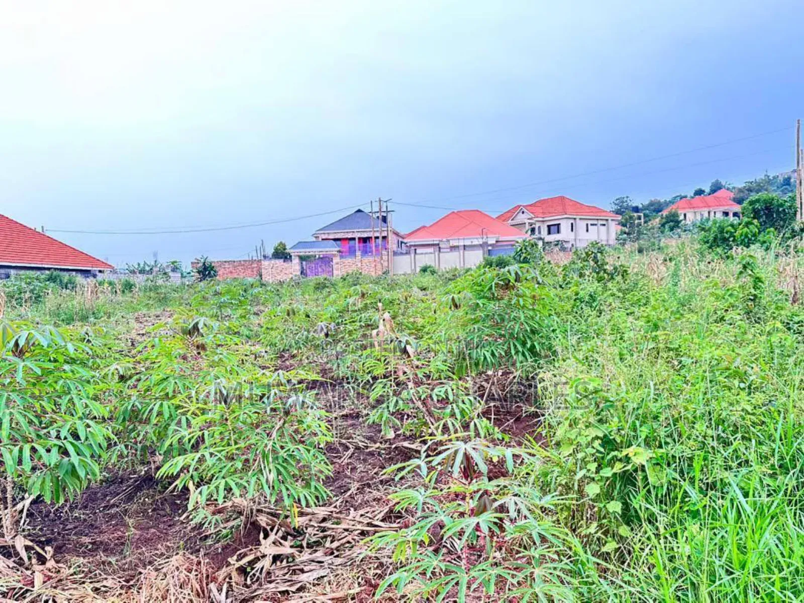 Plots on Sale in Kira Near Main in Central Division