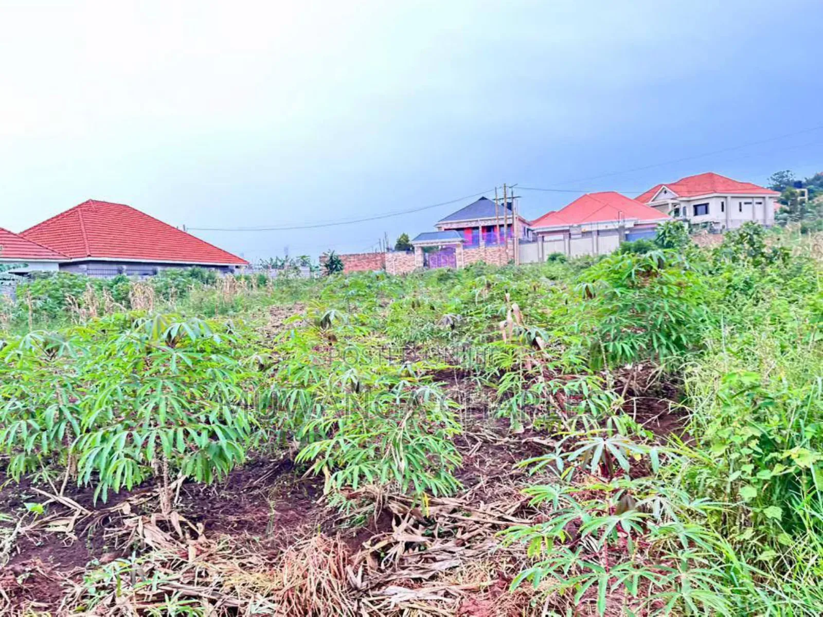 Plots on Sale in Kira Near Main in Central Division