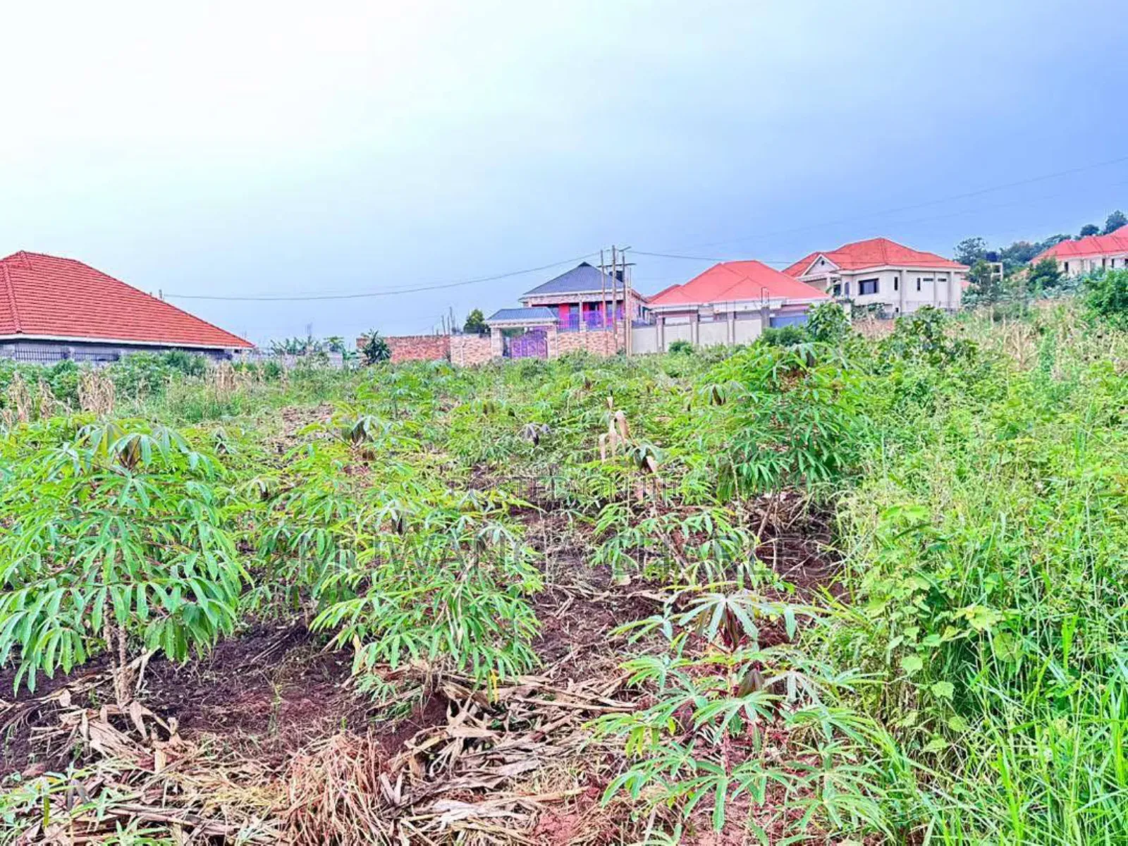 Plots on Sale in Kira Near Main in Central Division
