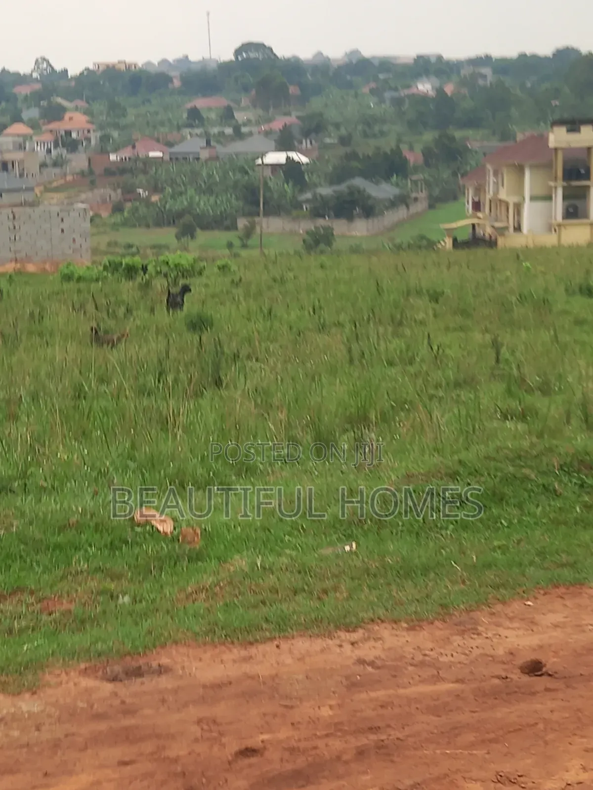 Nakwero Sparkling Plot for Sell in Kira