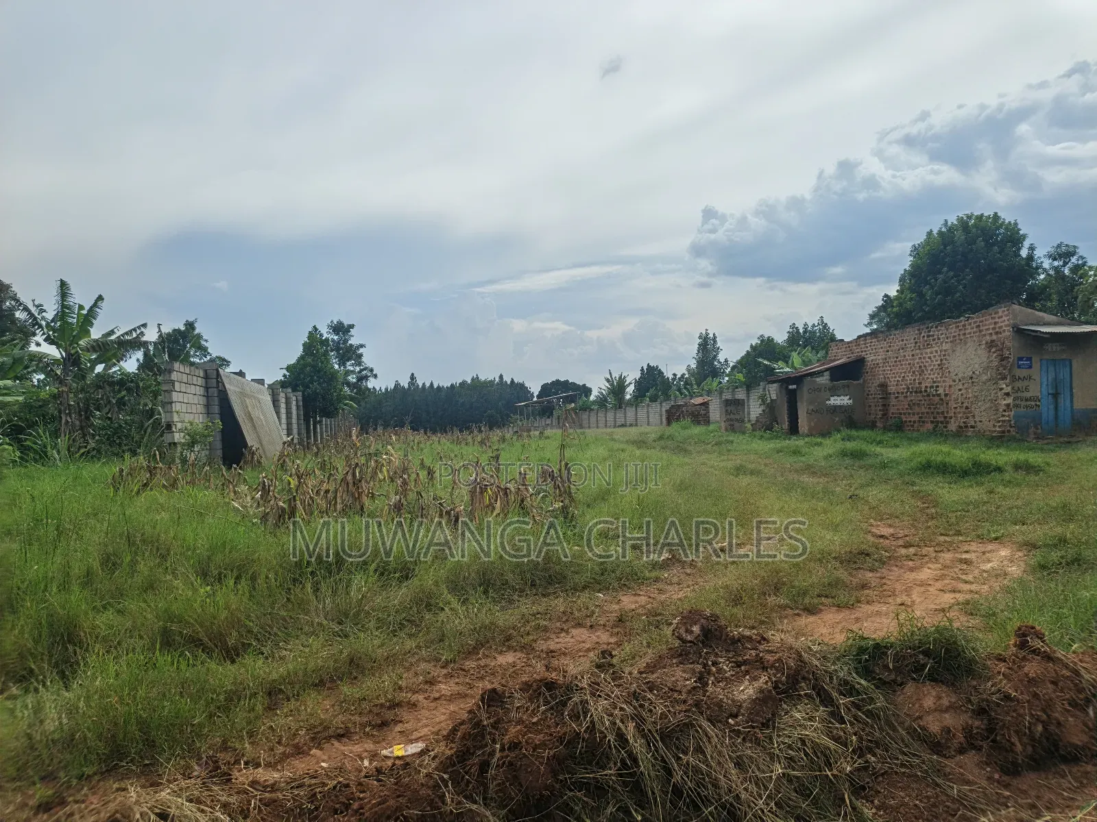 5acres Land on Quick Sale in Kalule Bombo Road in Luwero / Luwero