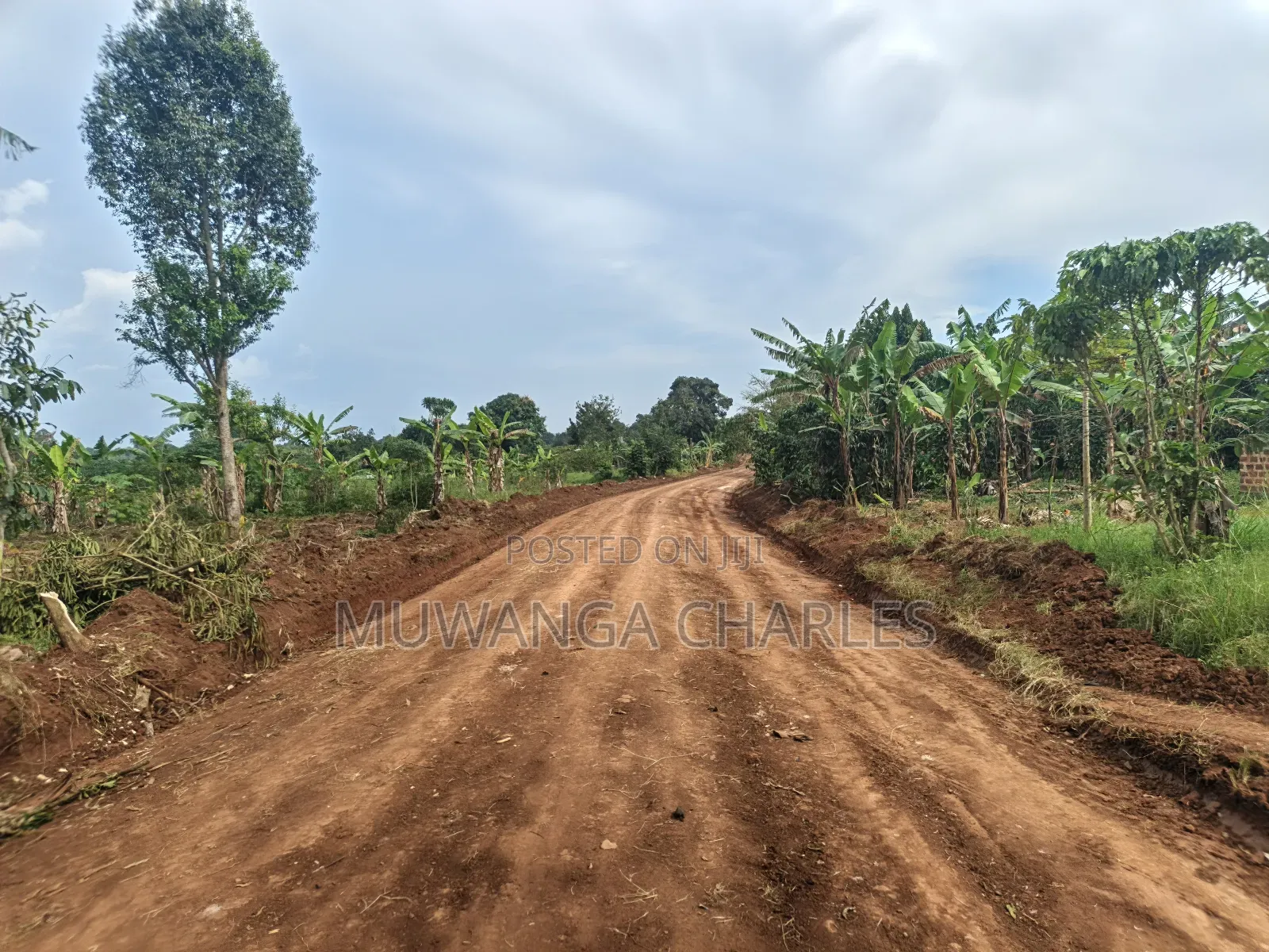 5acres Land on Quick Sale in Kalule Bombo Road in Luwero / Luwero