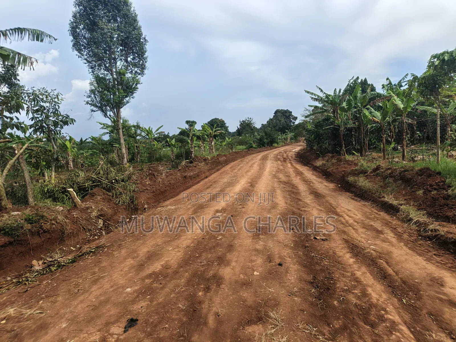 5acres Land on Quick Sale in Kalule Bombo Road in Luwero / Luwero