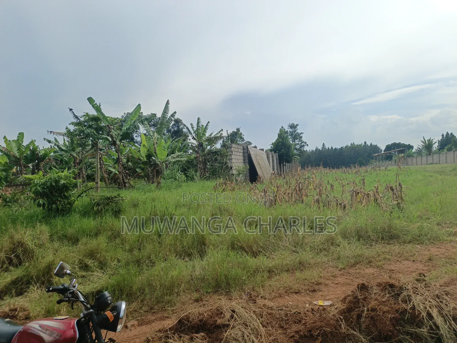 5acres Land on Quick Sale in Kalule Bombo Road in Luwero / Luwero