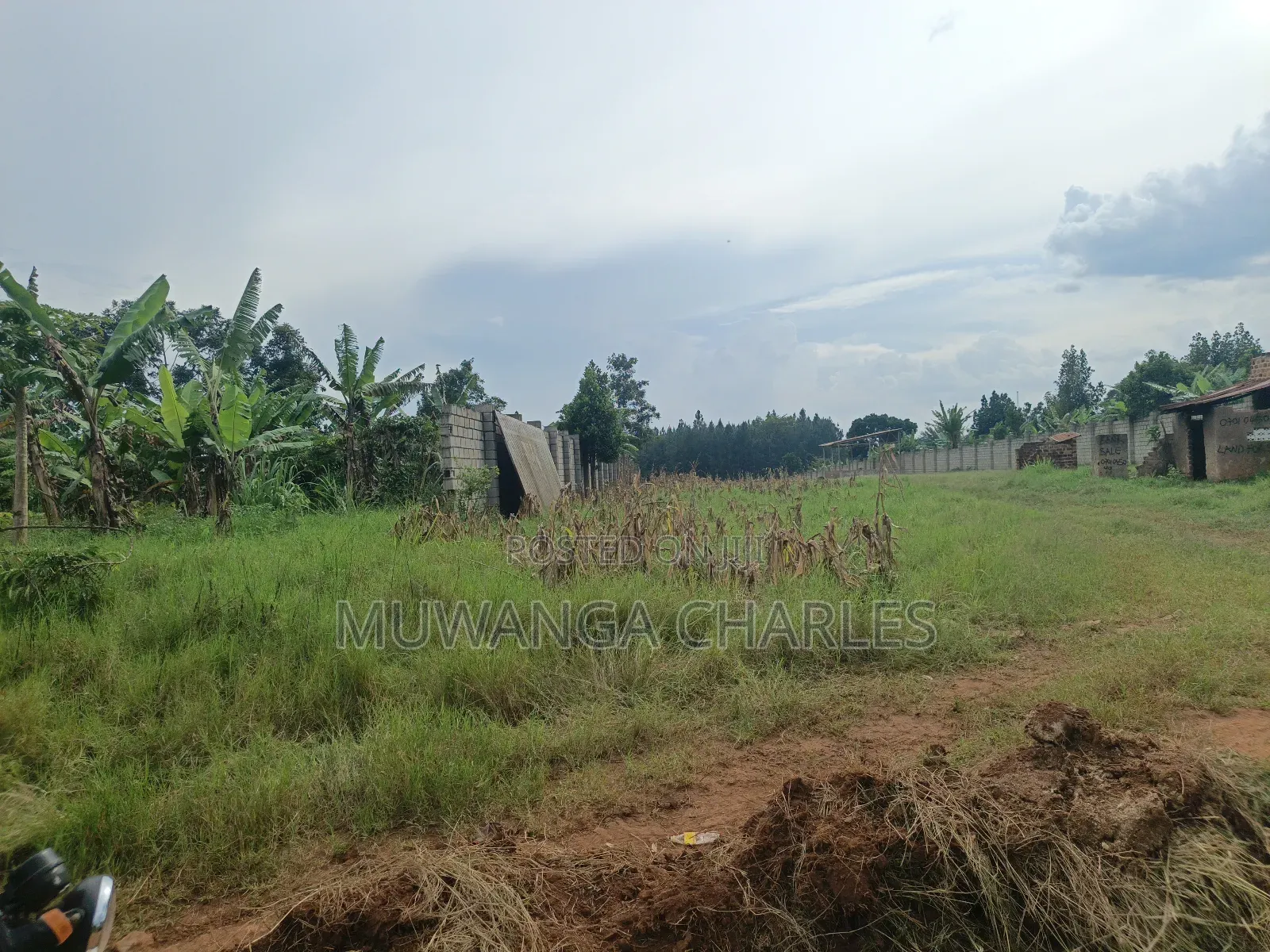 5acres Land on Quick Sale in Kalule Bombo Road in Luwero / Luwero