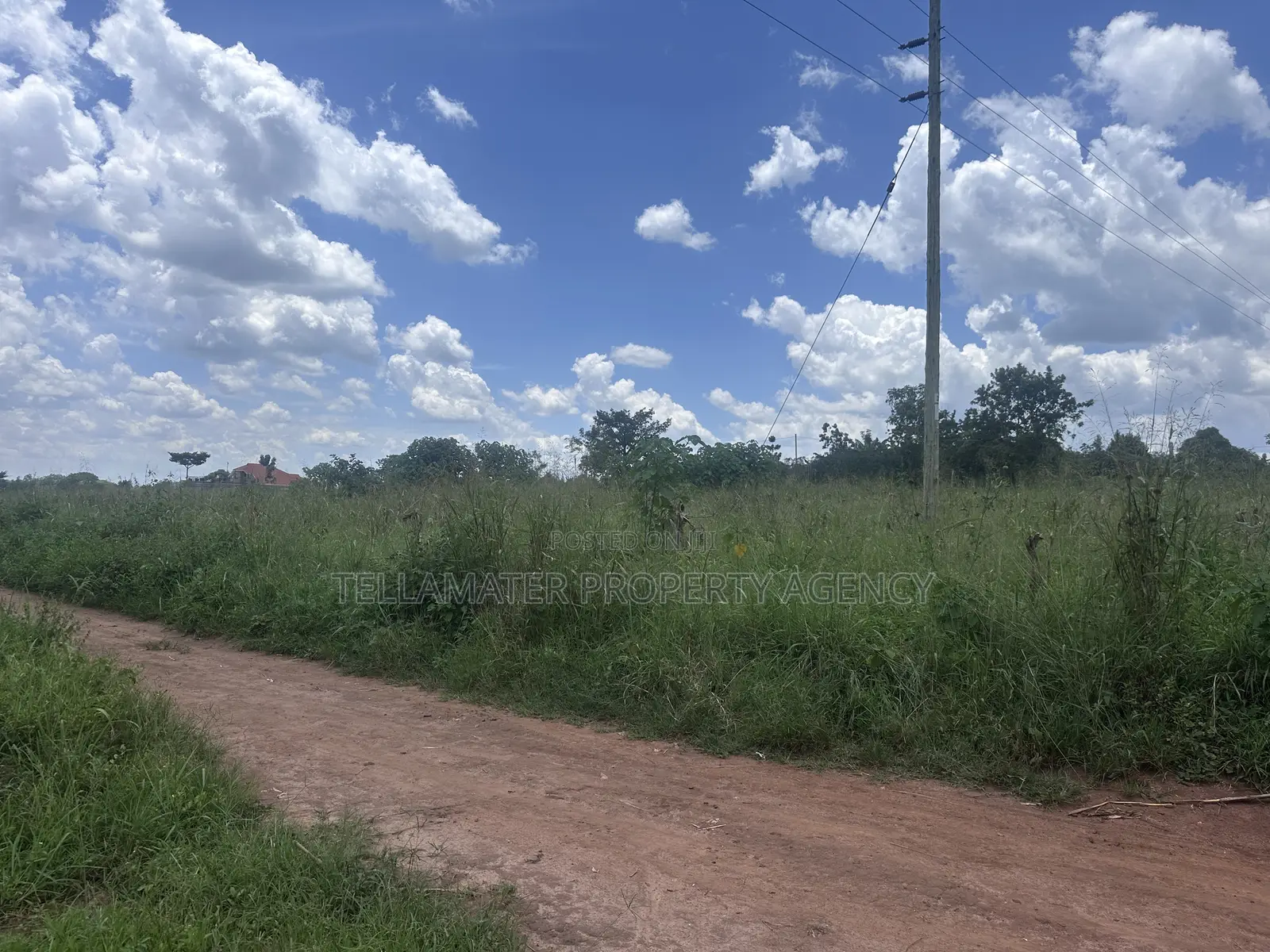 13 Decimals With Ready Title at Nakifuma-Kakinzi for Sale at Only 20m in Kyampisi