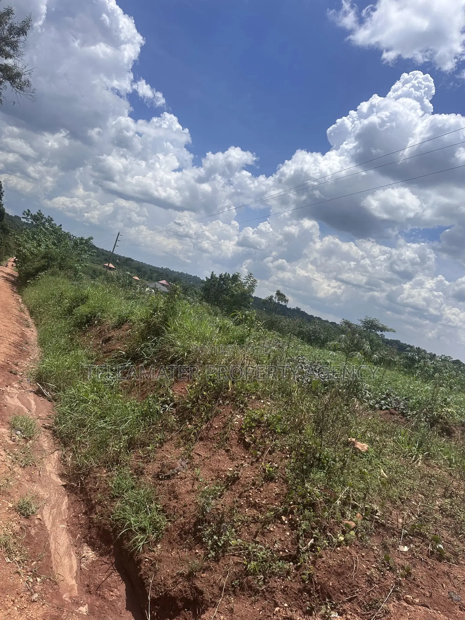 13 Decimals With Ready Title at Nakifuma-Kakinzi for Sale at Only 20m in Kyampisi