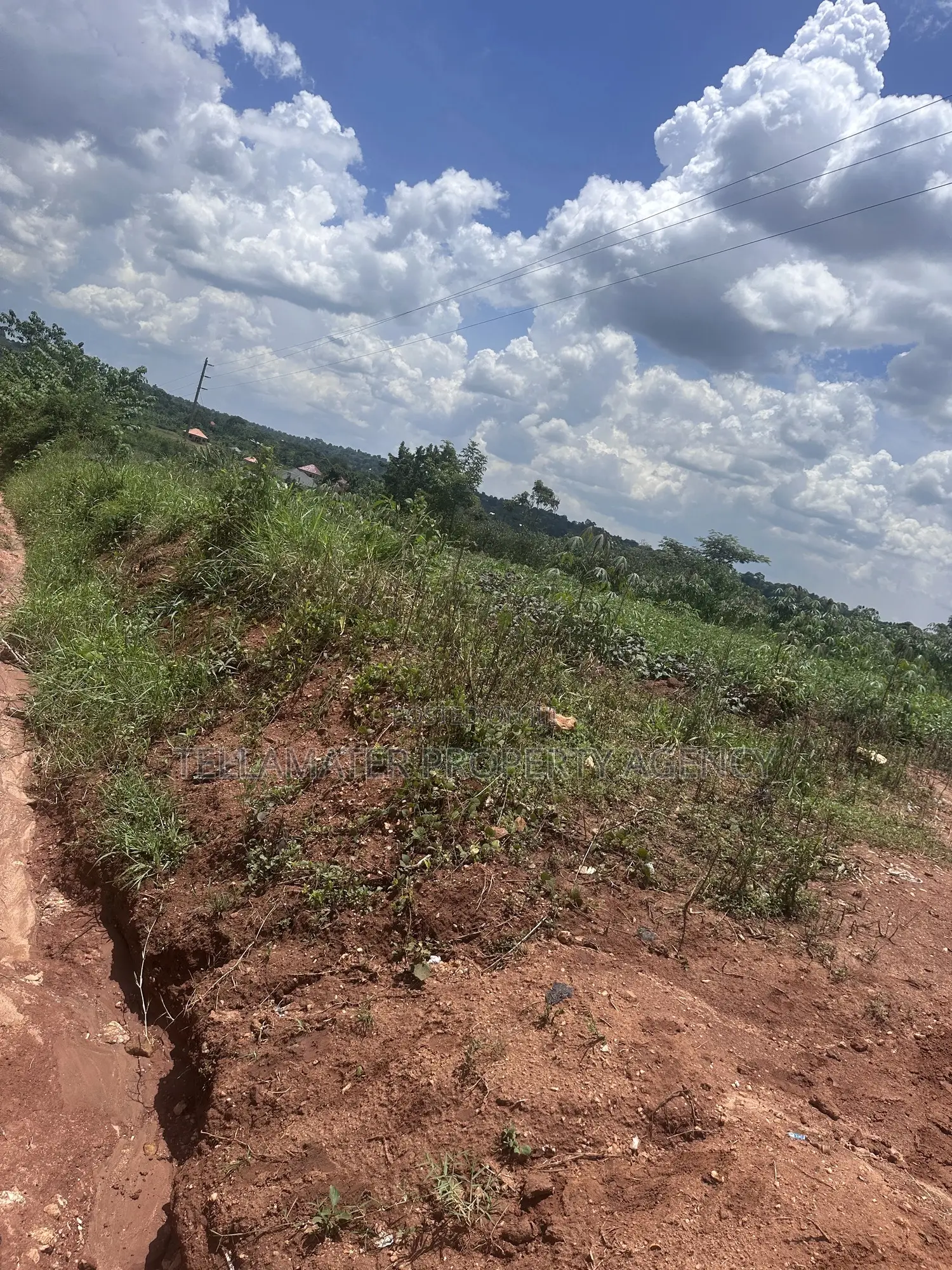 13 Decimals With Ready Title at Nakifuma-Kakinzi for Sale at Only 20m in Kyampisi